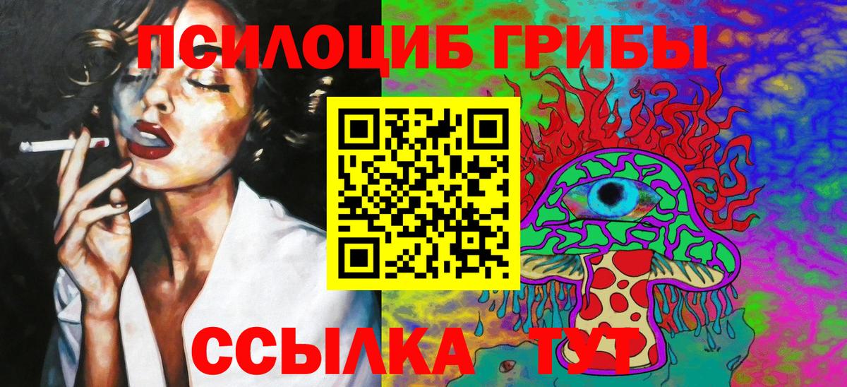 Кириши  Псилоцибиновые грибы Cubensis  Псилоцибиновые грибы прущие грибы  Вход с VPN 